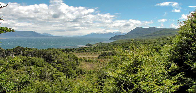 los_altares_img1